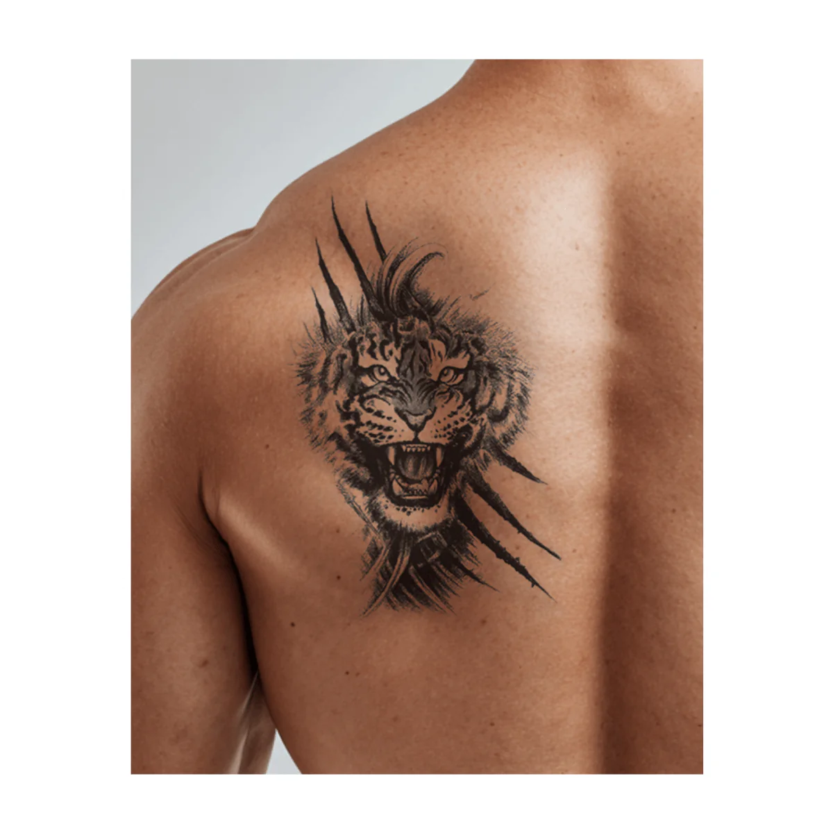 Brüllender Tiger