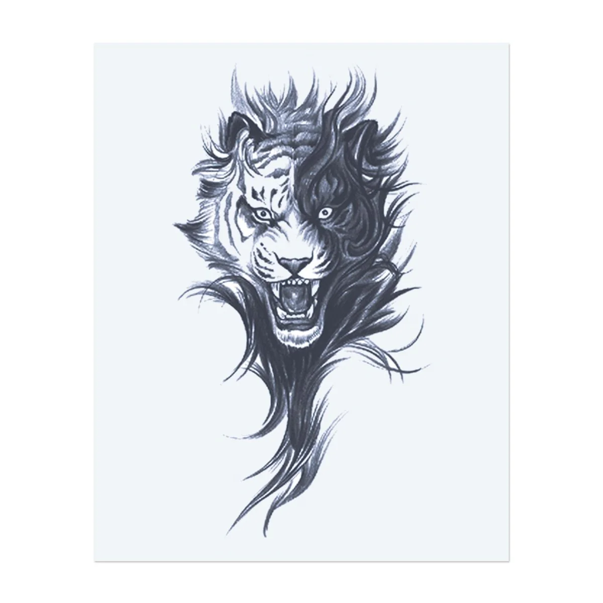 Dual Tiger - Image 2