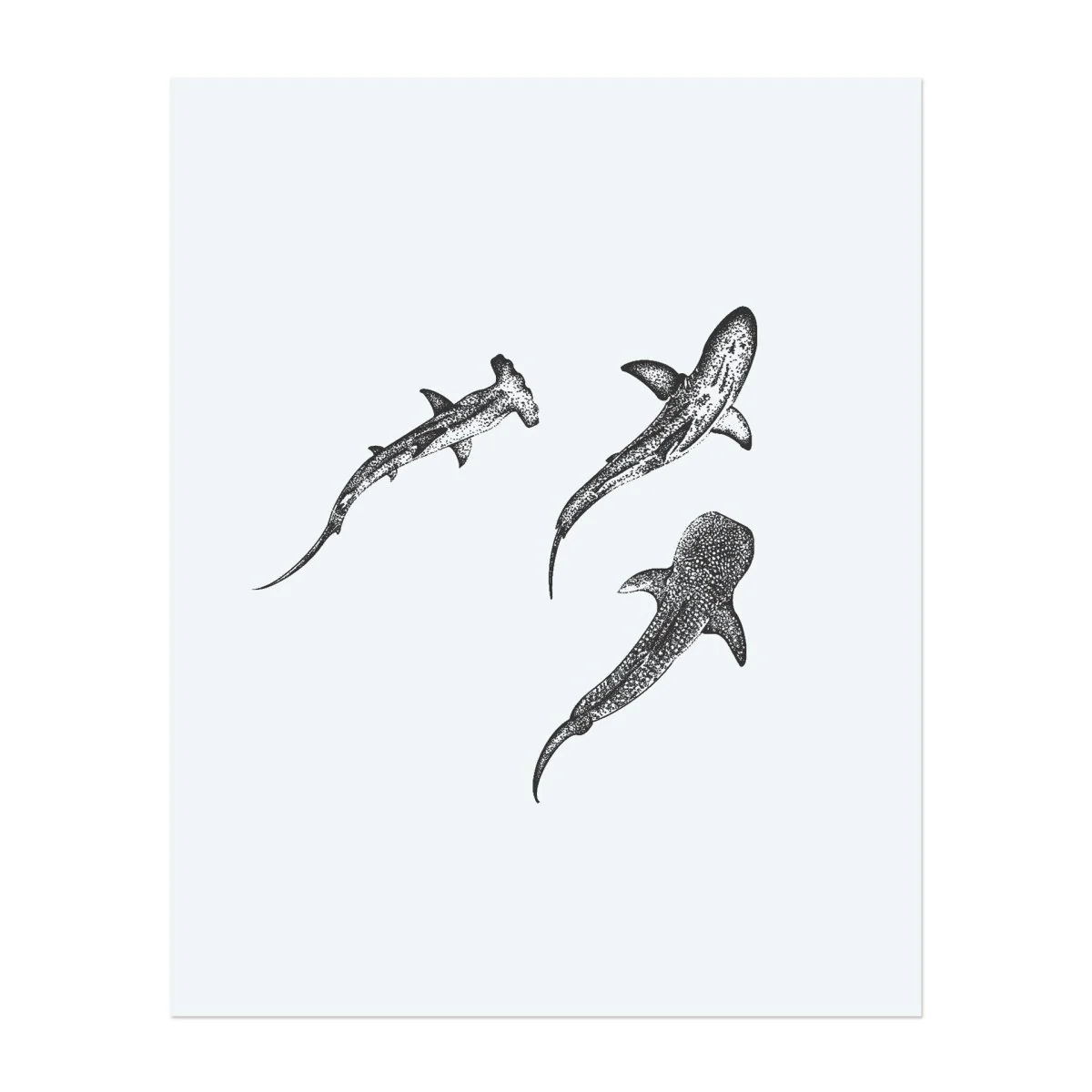 Hai-Trio - Image 2