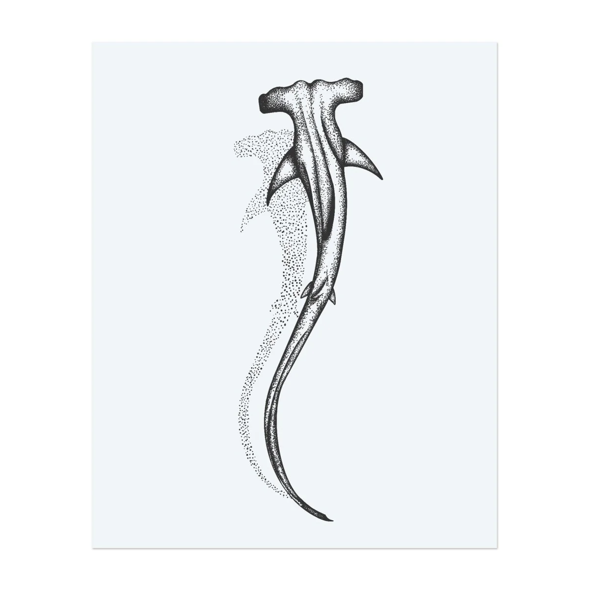 Hammerhai - Image 2