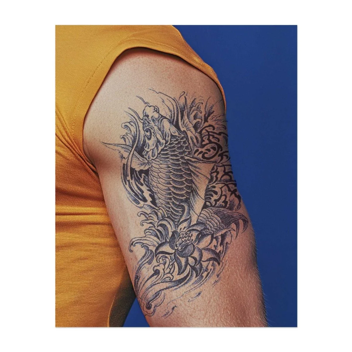 Koi Wellen