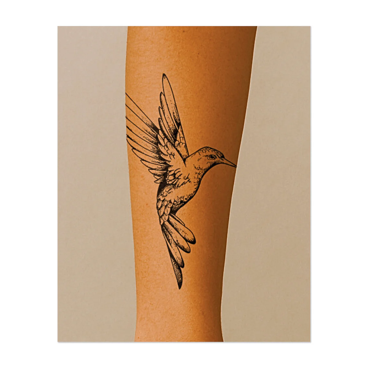 Kolibri in Bewegung