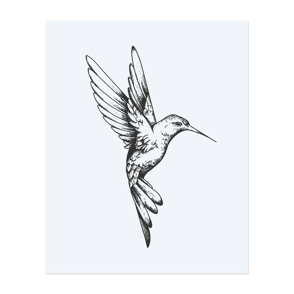Kolibri in Bewegung - Image 2