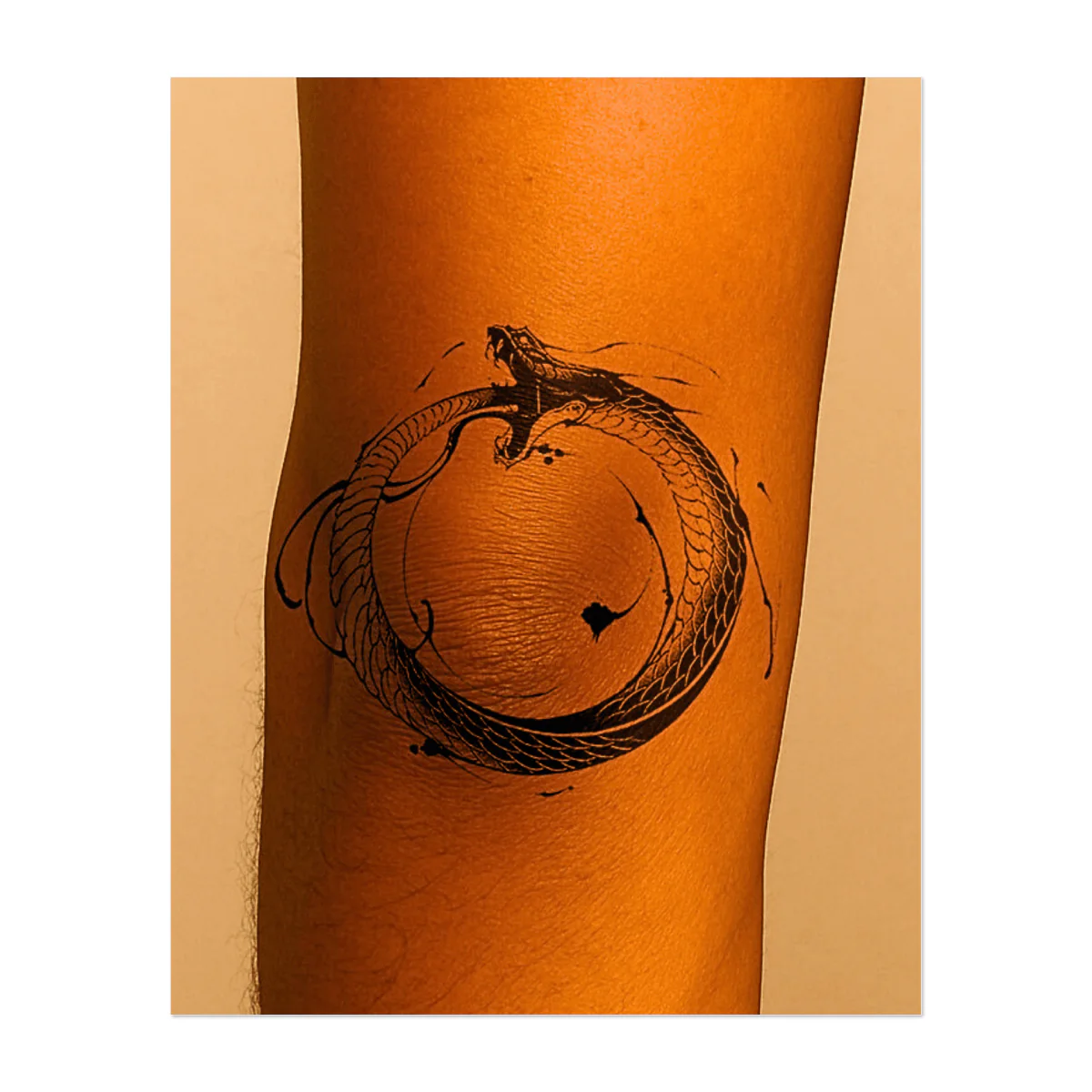 Ouroboros Eternal