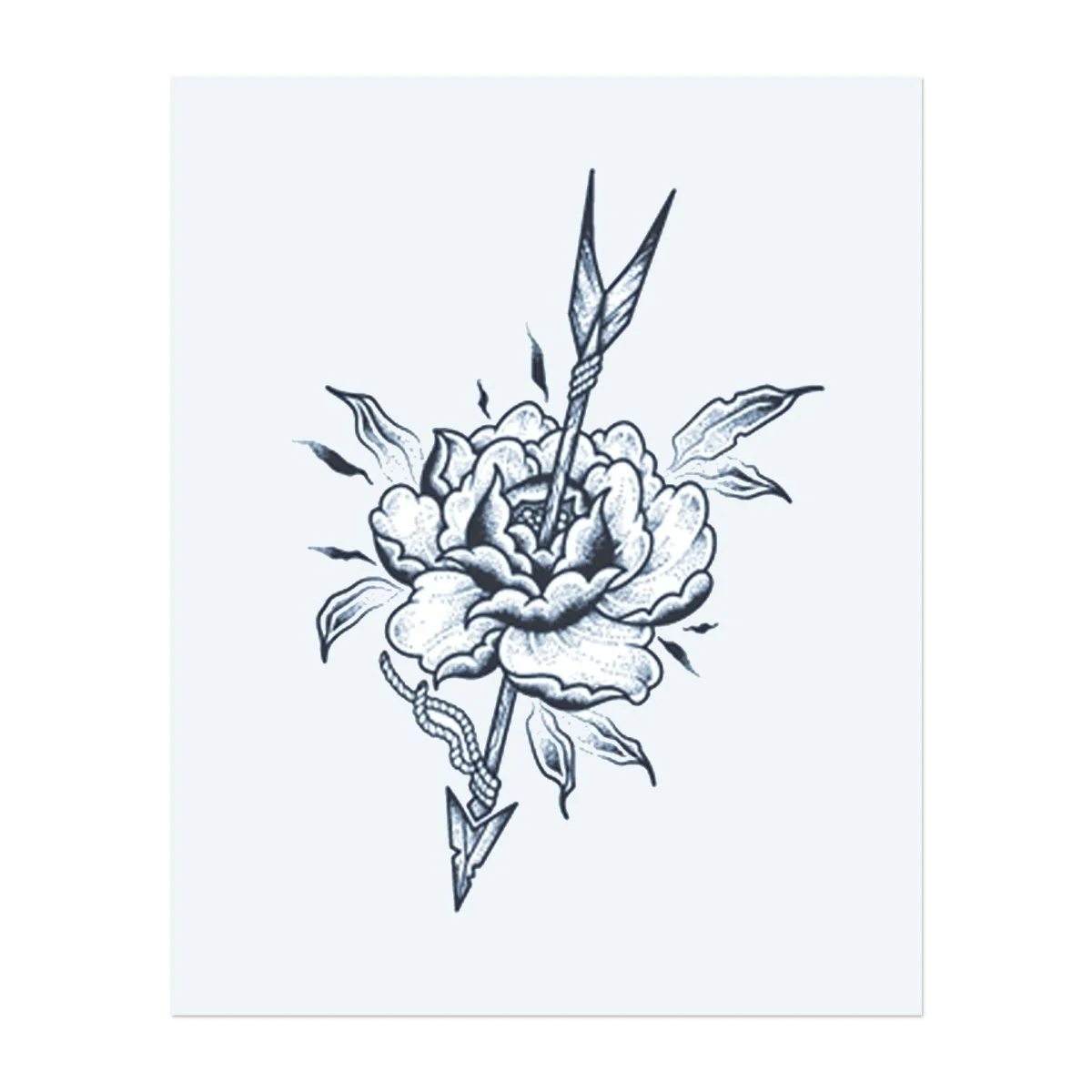 Pfeilrose - Image 2