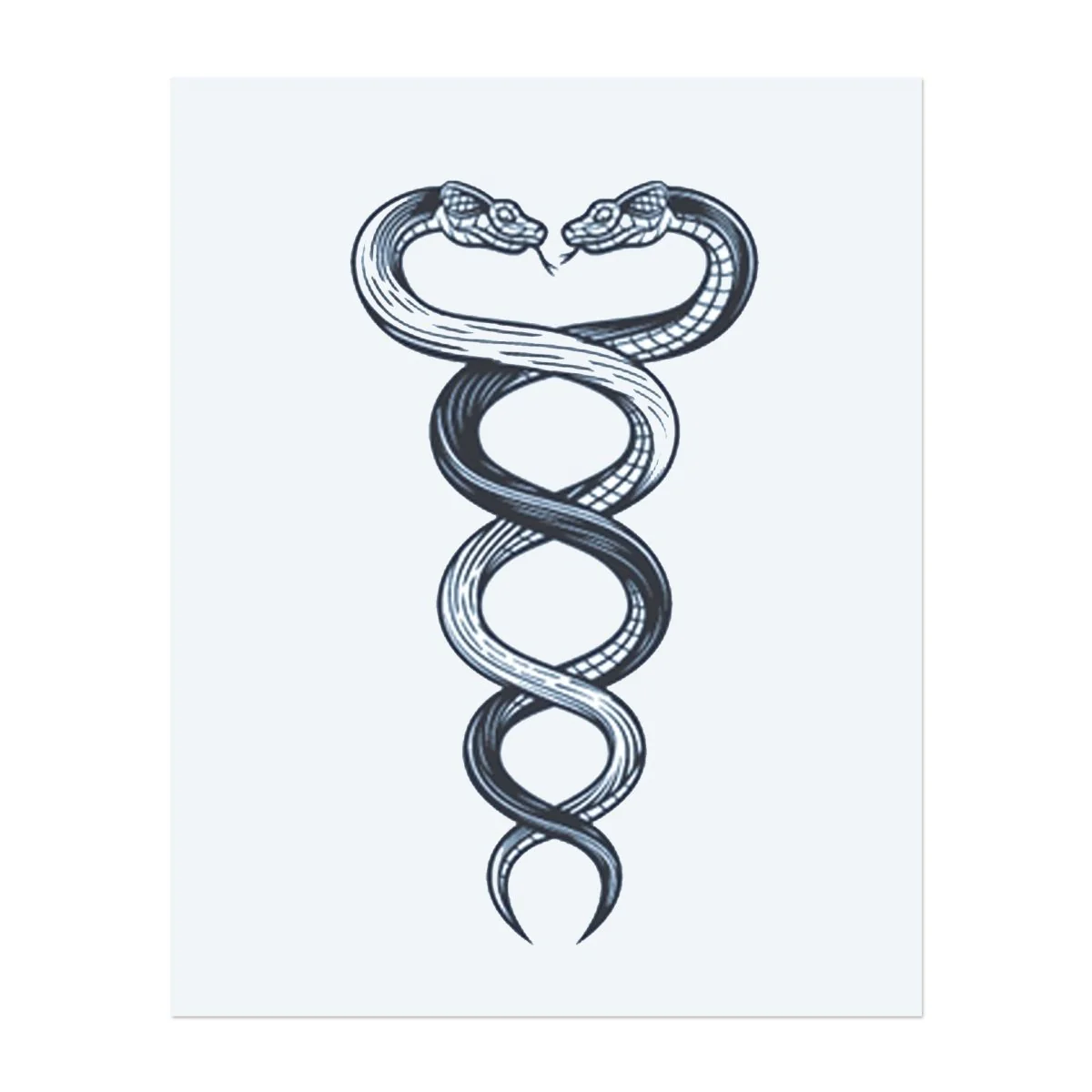 Serpent Twist - Image 2