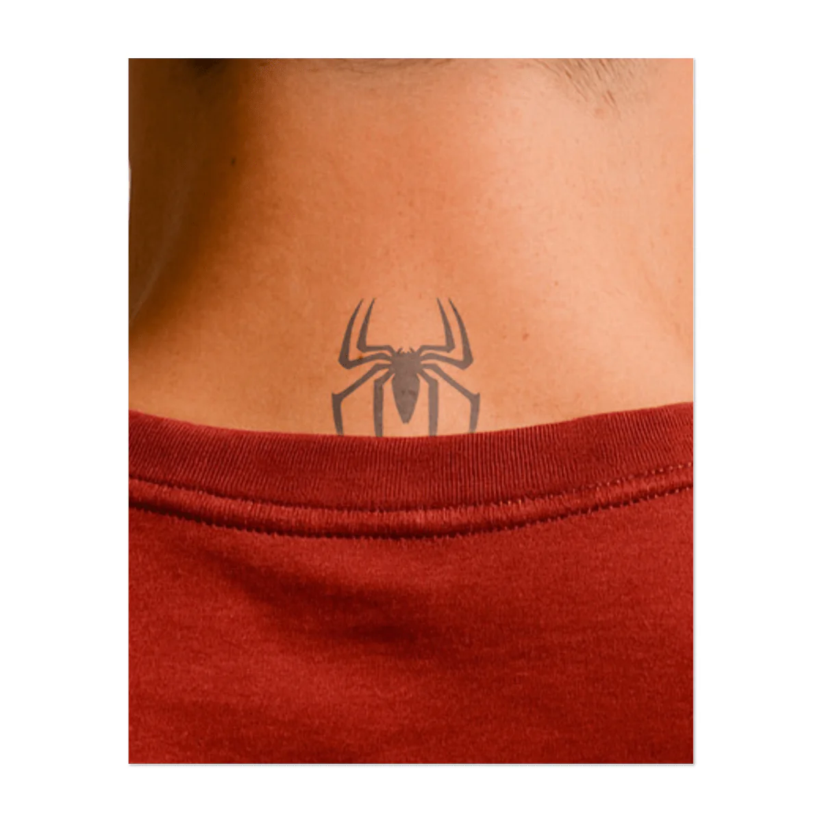 Spinnen Symbol