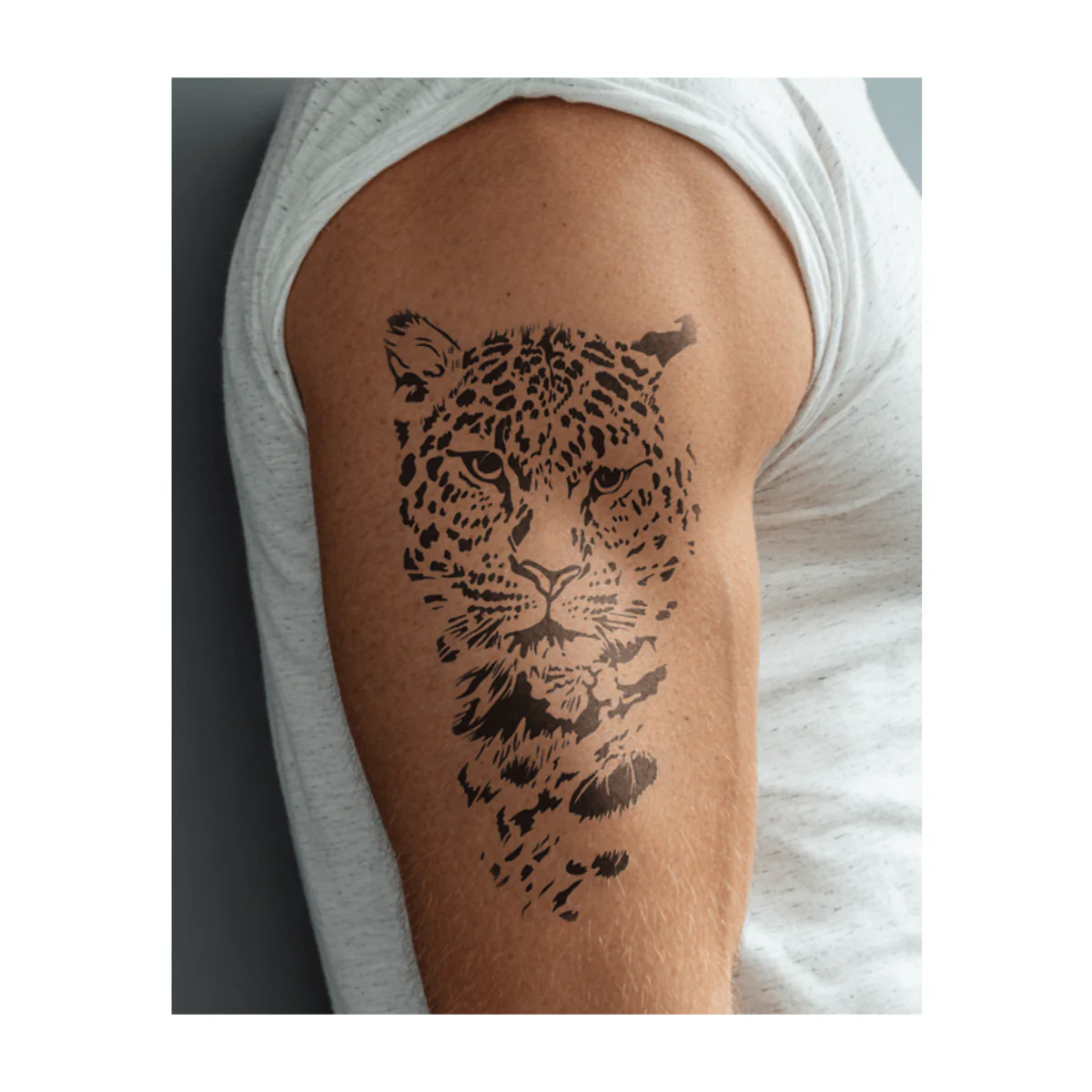 Stiller Leopard