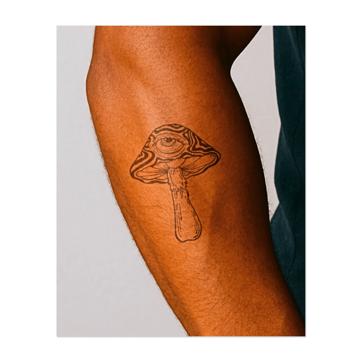 Vision-Pilz